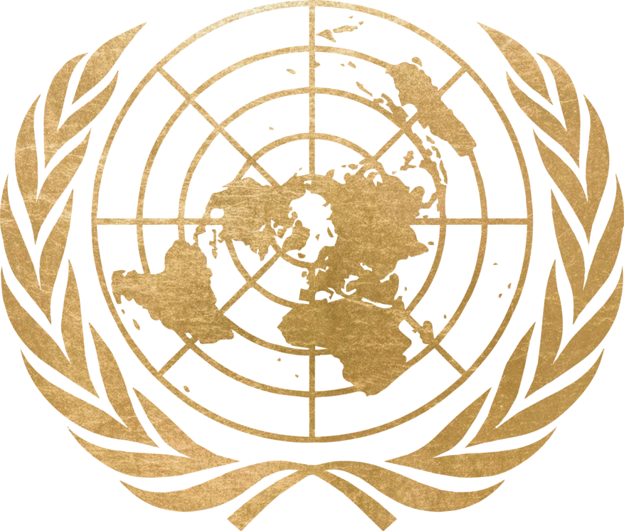 United Nations Security Council
